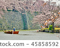 Season of cherry blossoms 45858592