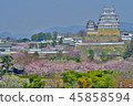 Himeji Castle and Sakura 45858594