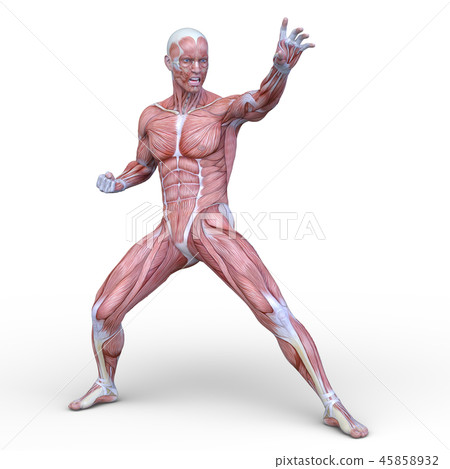 Mannequin Mannequin 45858932