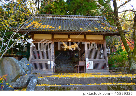 Jokoji Temple門 Jokoji Temple門 45859325