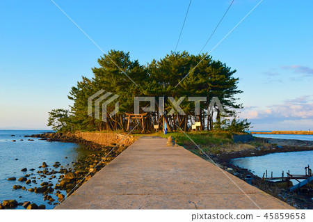 Bentenshima Shikacho 45859658