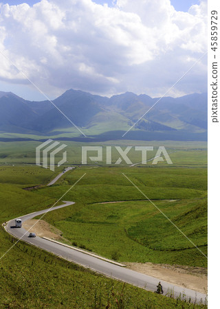 China, kidney 45859729