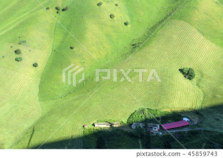 中國,腎臟 中國,腎臟 45859743