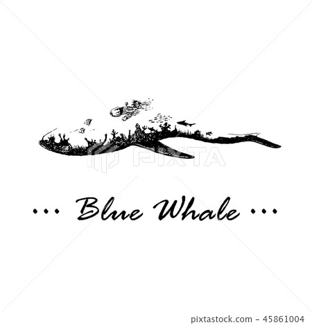 Abstract vector hand drawing of blue whale with double exposure effect. Abstract vector hand drawing of blue whale with double exposure effect. 45861004