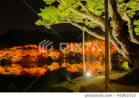 Good luck! Autumn leaves of Kuribayashi park 45861013