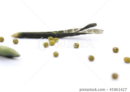綠豆和貝殼 45861427