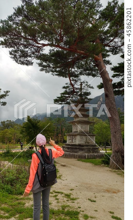 Mt. Seolark Mt. Seolark 45862201