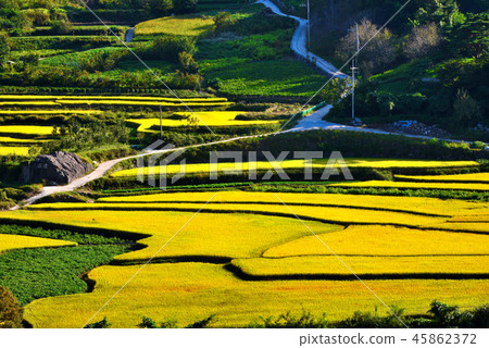 Rural Rural 45862372