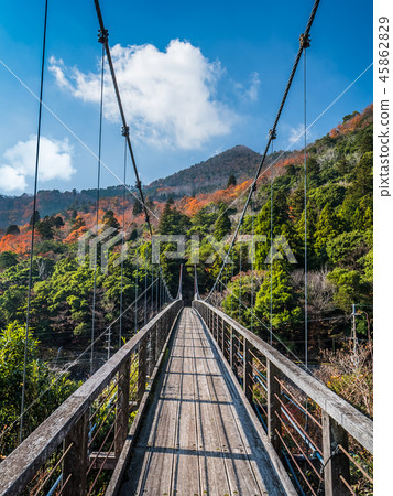 Fizegawa valley of colored leaves 45862829