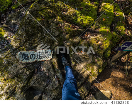 Fizegawa valley of colored leaves 45862838