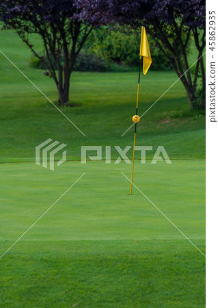 Golf Course, golf green with flag in the hole 45862935