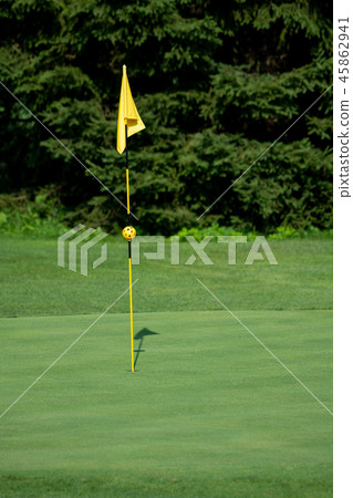 Golf Course, golf green with flag in the hole 45862941