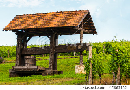 Traditional old grapes, vine press in vineyard 45863132