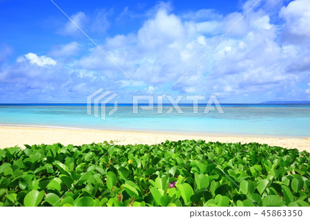 Haterumajima Nishihama 45863350