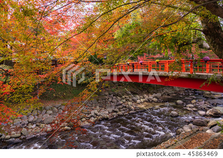 （靜岡縣）修善寺溫泉桂川秋葉 45863469