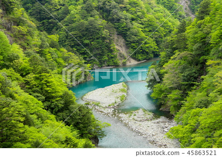 Doggyou吊橋 Doggyou吊橋 45863521