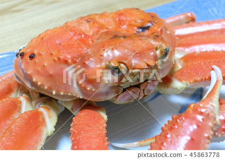 "Steamed Matsuba crab" from Sakaiminato, Tottori, cooked at home "Steamed Matsuba crab" from Sakaiminato, Tottori, cooked at home 45863778