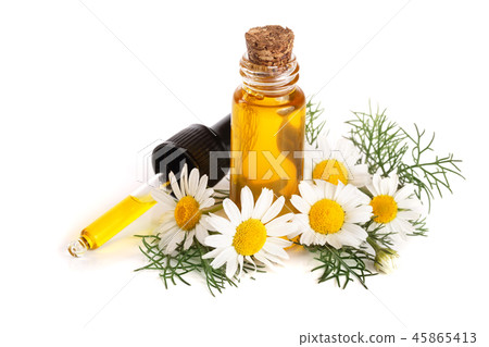 bottle with essential oil and fresh chamomile flowers isolated on white background bottle with essential oil and fresh chamomile flowers isolated on white background 45865413