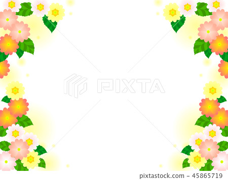 Primula flower frame 45865719