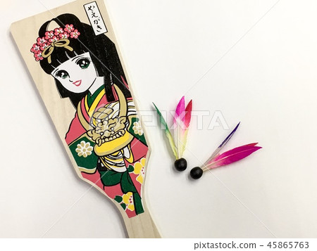 Cute feathered board and feathers 45865763