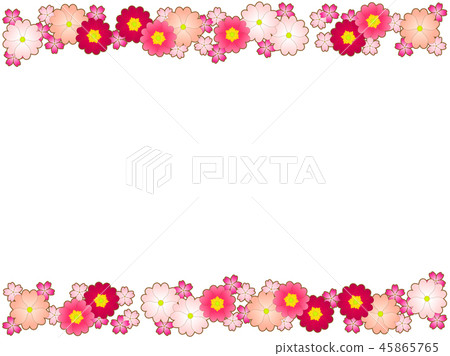 報春花花框架 報春花花框架 45865765