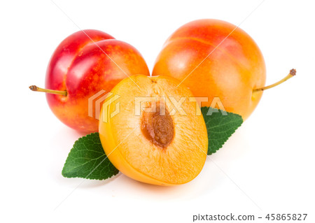 Yellow plum with leaves isolated on white background Yellow plum with leaves isolated on white background 45865827