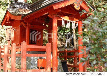 Hakone Seven Lucky Gods Hakone Shrine 45865876