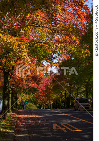 Three color passages 45866016