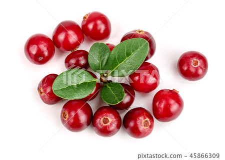 Cranberry with leaf isolated on white background closeup top view Cranberry with leaf isolated on white background closeup top view 45866309