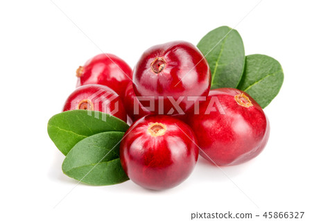 Cranberry with leaf isolated on white background closeup macro Cranberry with leaf isolated on white background closeup macro 45866327