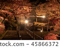 兵庫縣Banshu Kiyomizu寺秋葉照亮 45866372