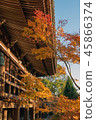 兵庫縣Banshu Kiyomizu寺秋葉 45866374