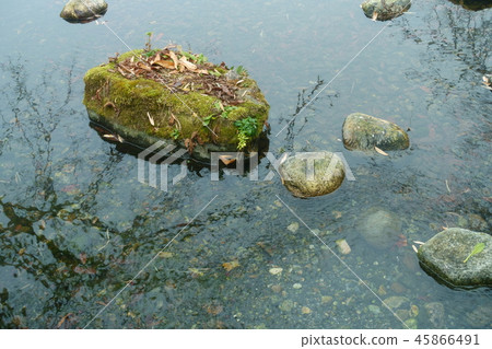 Spring pond Azumino City Spring pond Azumino City 45866491