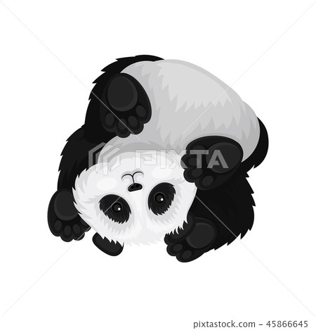 Funny panda upside down. Bamboo bear with fluffy black and white fur. Tropical animal. Flat vector Funny panda upside down. Bamboo bear with fluffy black and white fur. Tropical animal. Flat vector 45866645