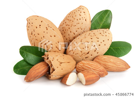 Group of almond nuts with leaves isolated on white background Group of almond nuts with leaves isolated on white background 45866774