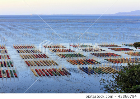 有明海藻網禁令 45866784