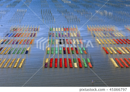 有明海藻網禁令 有明海藻網禁令 45866797