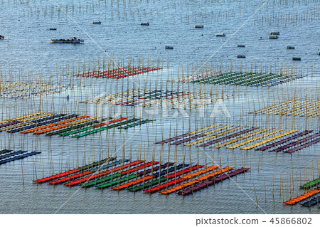 Ariake Seaweed Netting ban Ariake Seaweed Netting ban 45866802
