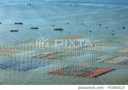有明海藻網禁令 有明海藻網禁令 45866825