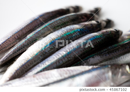 Anchovy Anchovy 45867102