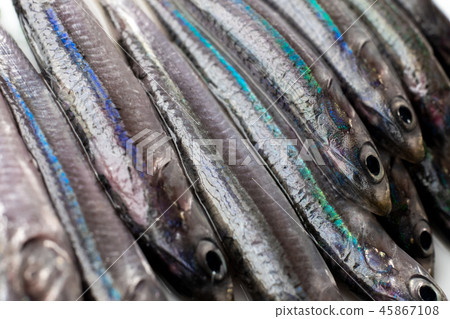 Anchovy Anchovy 45867108