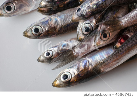 Anchovy head 45867433