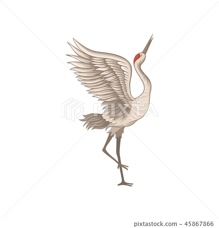 Elegant red-crowned crane standing on one leg... - Stock Illustration ...