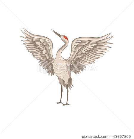 Red-crowned crane standing with wide open... - Stock Illustration ...