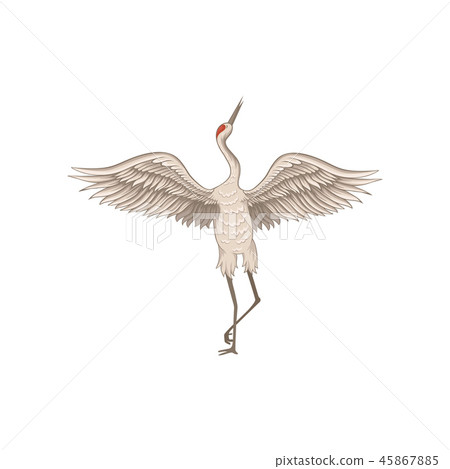 Graceful red-crowned crane standing on one leg... - Stock Illustration ...