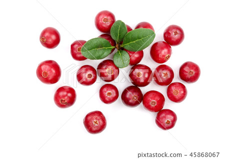 Cranberry with leaf isolated on white background closeup top view 45868067