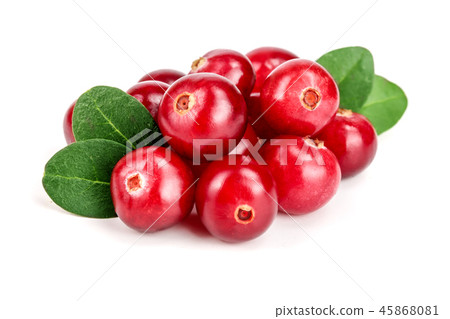 Cranberry with leaf isolated on white background closeup macro 45868081