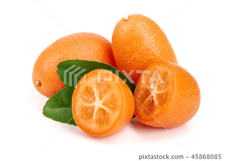 Cumquat or kumquat with leaf isolated on white background close up Cumquat or kumquat with leaf isolated on white background close up 45868085