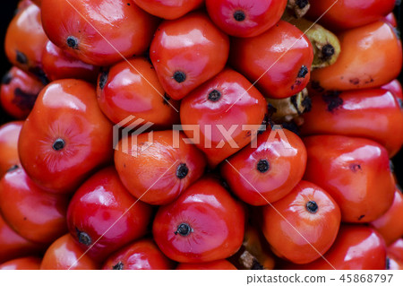 特別的水果。 45868797