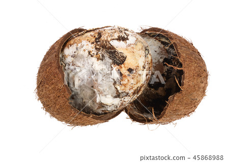 Coconut spoiled with mold isolated on white background. Top view Coconut spoiled with mold isolated on white background. Top view 45868988